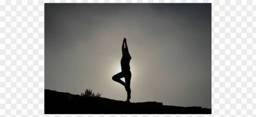 Yoga Fox Work–life Balance Job PageGroup Resource Leisure PNG
