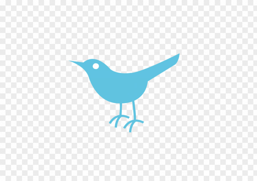 Bird Logo Beak La Talla Perfecta PNG