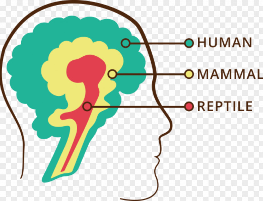 Brain Triune Reptile Head Strong: The Bulletproof Plan To Activate Untapped Energy Work Smarter And Think Faster-in Just Two Weeks Human PNG