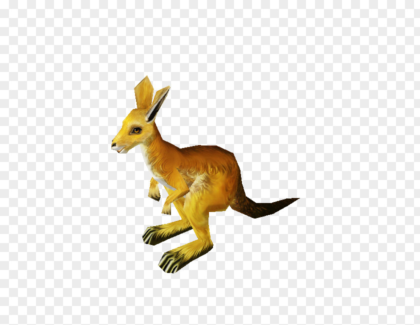 Kangaroo Macropodidae Red Fox Tail Animal PNG