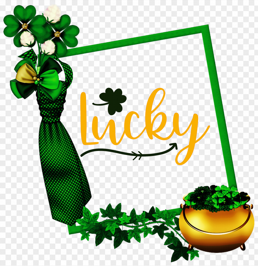 Lucky Patricks Day Saint Patrick PNG