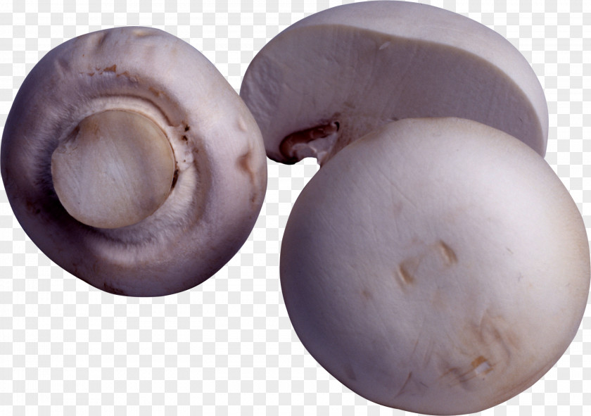 Mushroom Image Calocybe Gambosa Common Vegetable Fungus PNG
