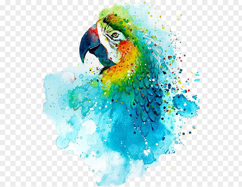 Painting Watercolor: Animals Watercolor Artist PNG