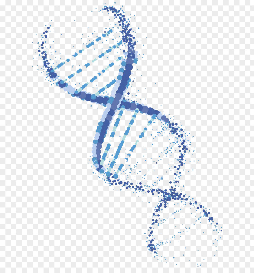 Vector DNA Genetically Modified Organism Genetics PNG