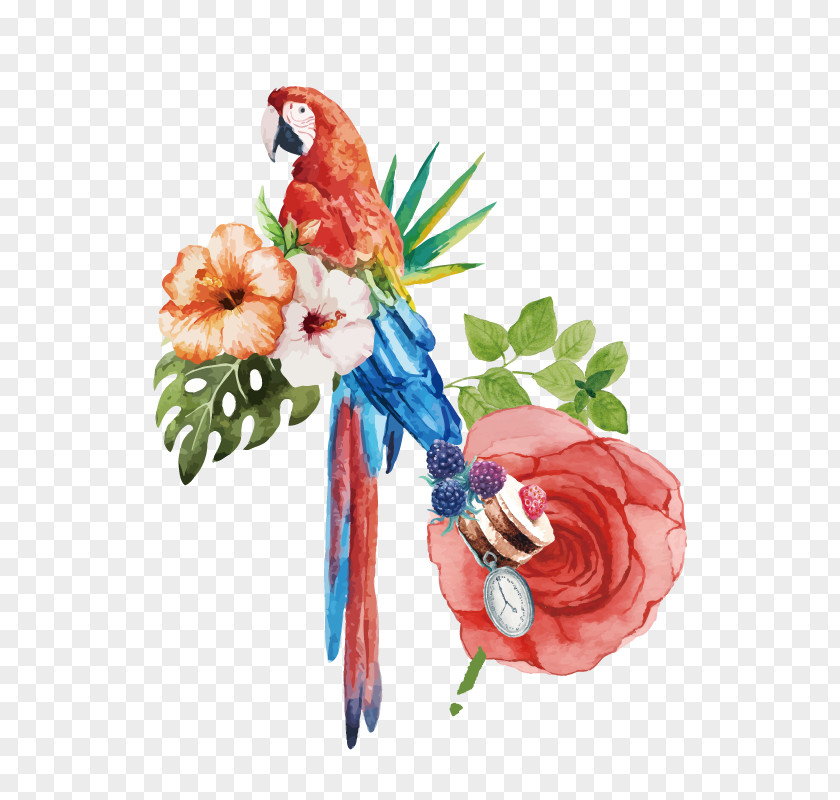 Watercolor Hand Painted Parrot Flower Decoration Pattern Bird Cockatoo Painting Macaw PNG