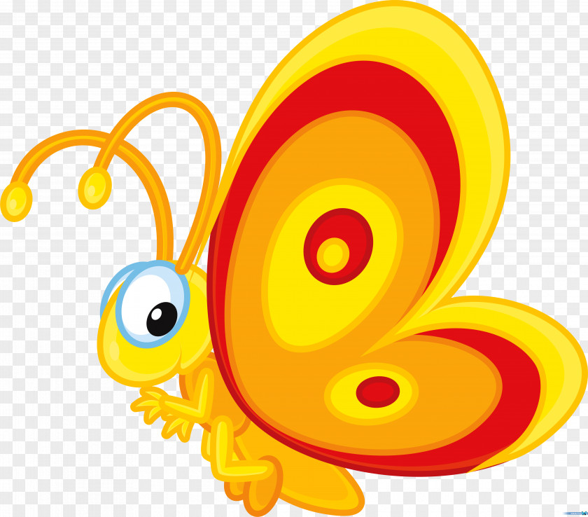 Cartoon Insect Butterfly Clip Art PNG