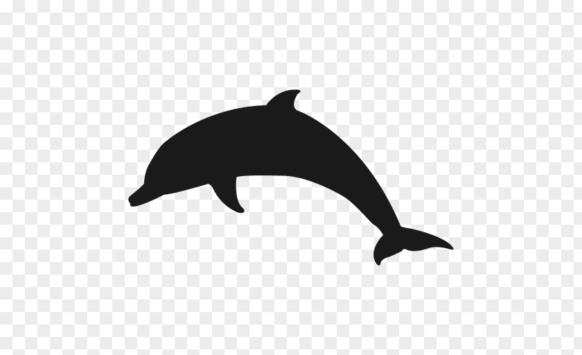 Dolphin Bottlenose Clip Art PNG