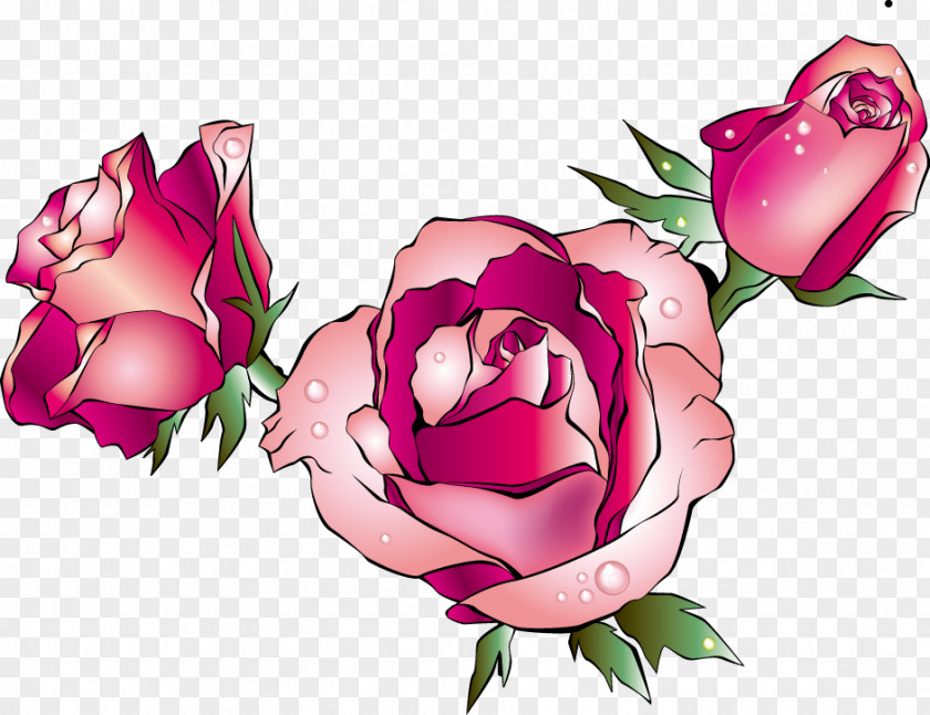 Flower Garden Roses Drawing Floral Design Clip Art PNG