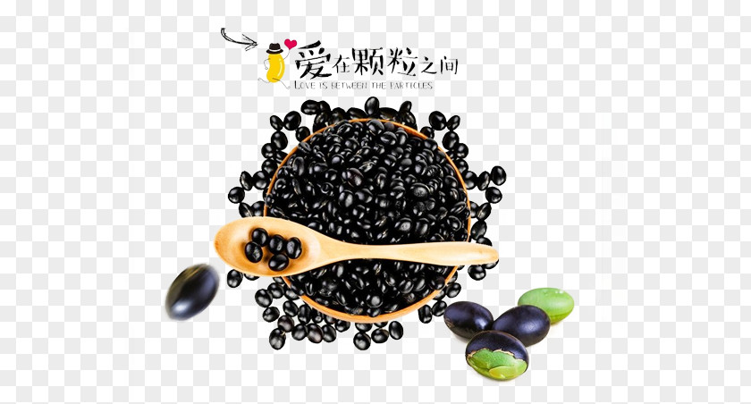 Free To Pull The Black Beans Picture Material Turtle Bean Soybean Five Grains PNG