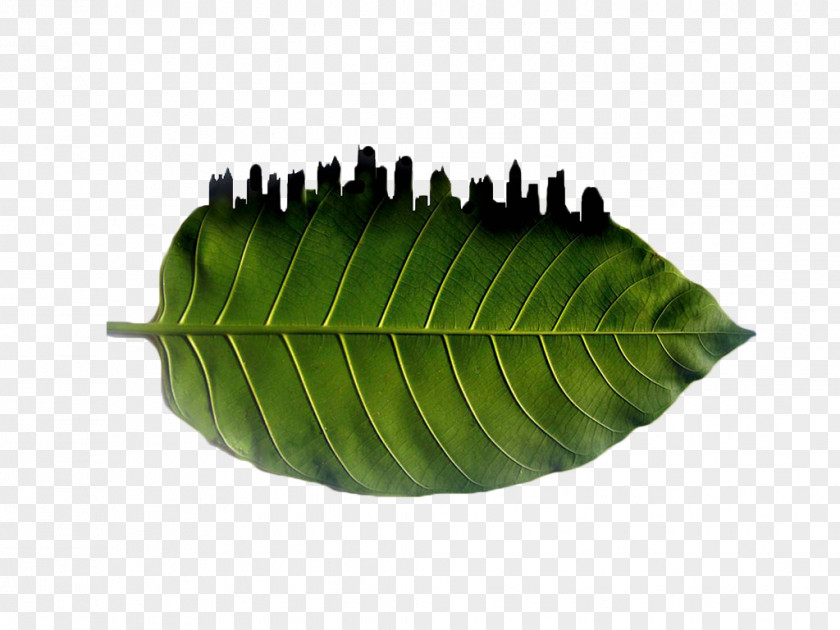Green Foliage City Silhouette Environmental Protection 0571 PNG