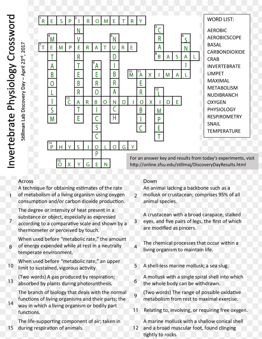 Key Crossword Clue Document Line PNG