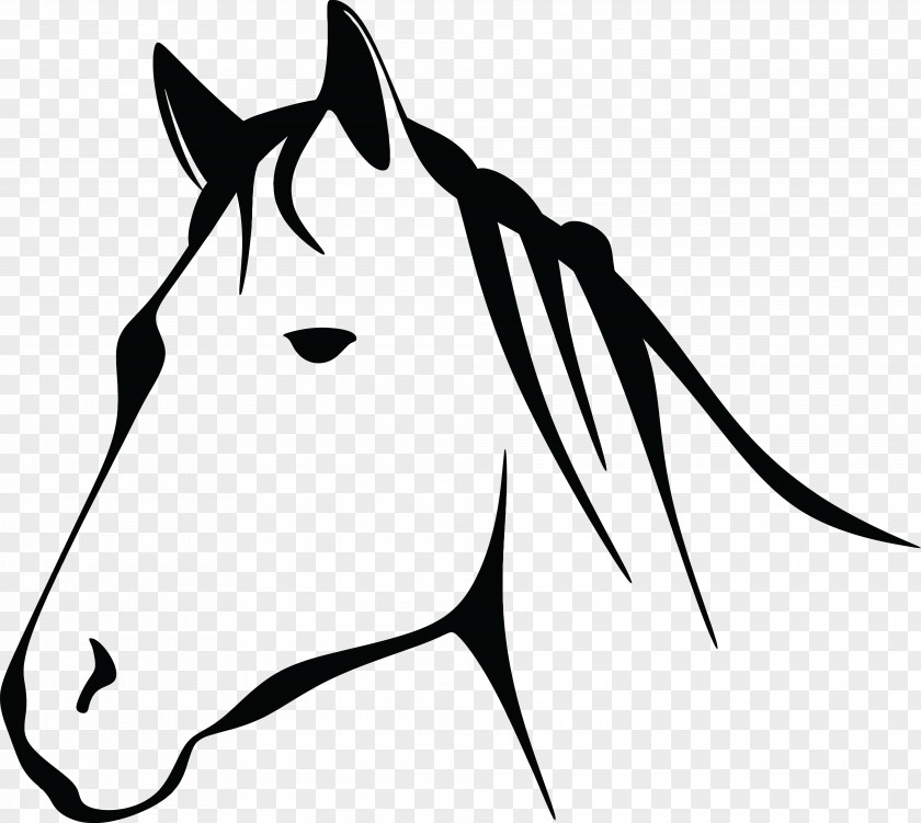 Line Drawing Horse AutoCAD DXF Clip Art PNG