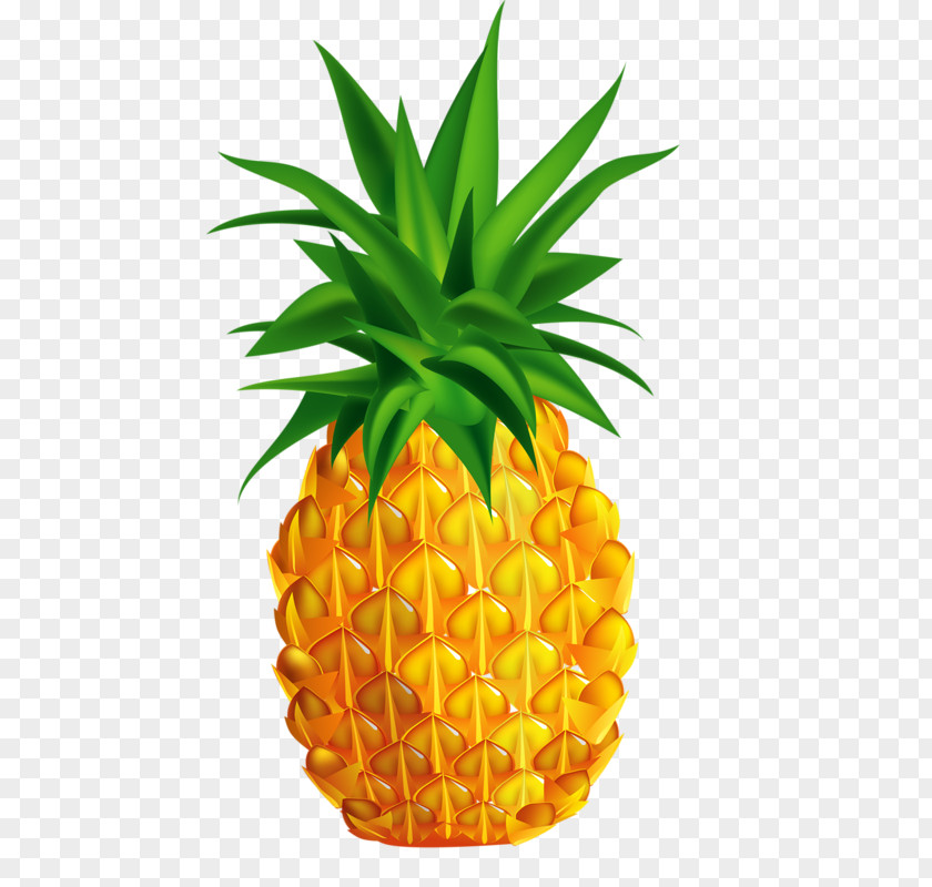 Pineapple Juice Stock Photography Illustration PNG