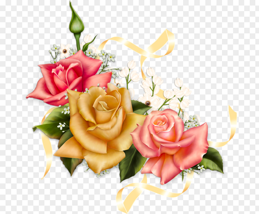 Rose Garden Roses Pink Picture Frames PNG