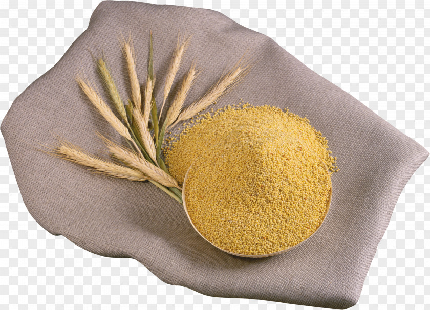 Wheat Porridge Congee Foxtail Millet Caryopsis Rice PNG