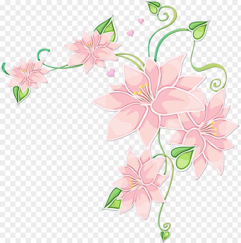 Floral Design Pedicel PNG