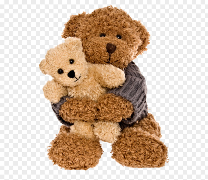 Plush Bear National Hugging Day Happiness Valentine's Wish PNG