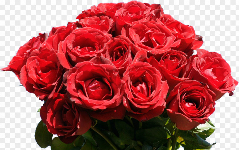 Rose Bunch Flower Bouquet Desktop Wallpaper Red PNG