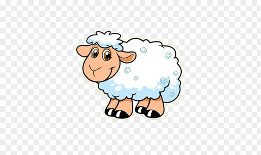 Sheep Information Drawing Clip Art PNG