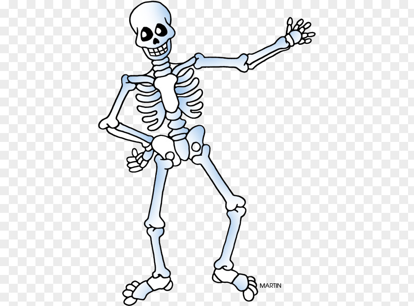 Skeleton Clip Art Free Content Human Openclipart PNG