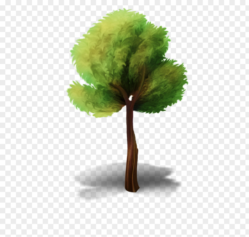 Tree Clip Art Image Animation PNG