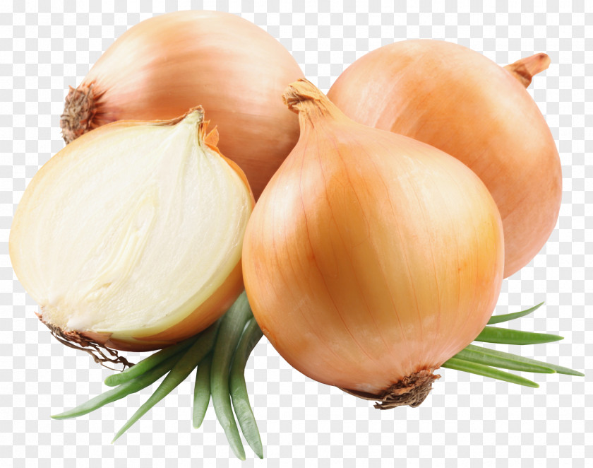 Vegetable Border French Onion Soup Yellow PNG