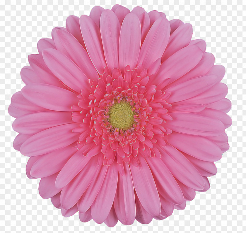 Artificial Flower PNG