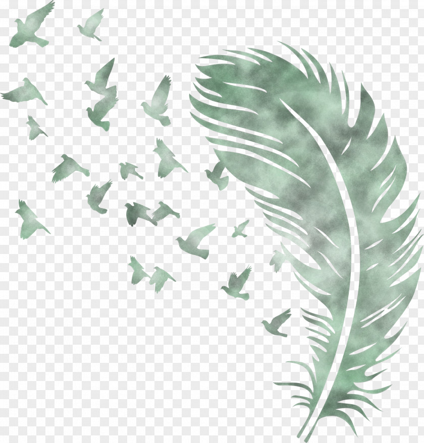 Bird Feather PNG