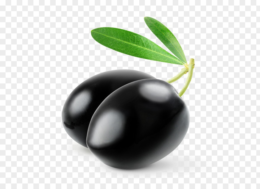 Creative Black Olives Olive Oil Stock Photography PNG
