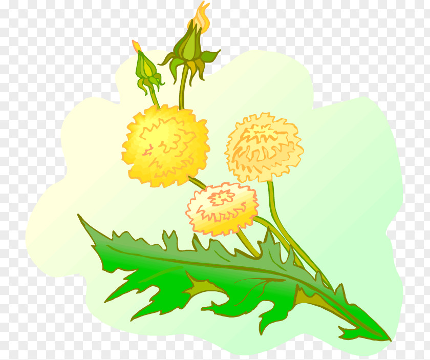 Dandelion Flowers Floral Design Clip Art PNG