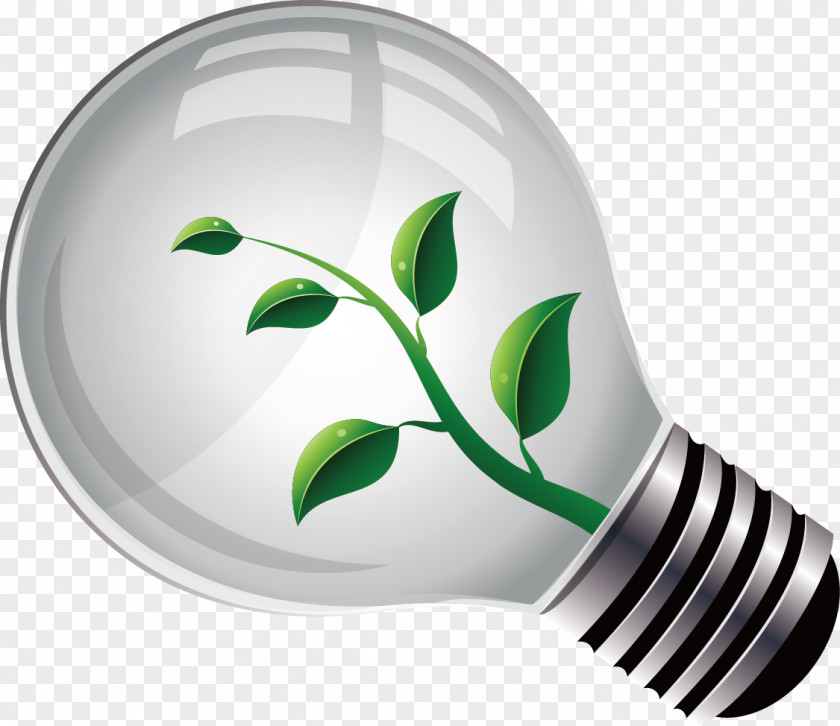 Environmental Protection Decoration Design Vector Lamp Green PNG