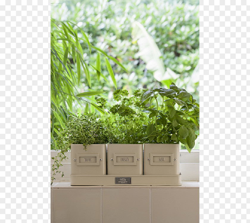 Flowerpot The Potted Herb Tray Flower Box PNG