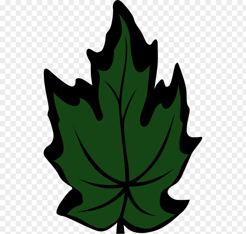 Leaf Maple Clip Art PNG