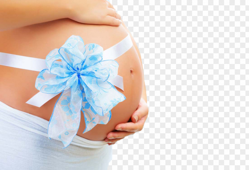 Pregnant Woman Pregnancy Stock Photography Mother PNG
