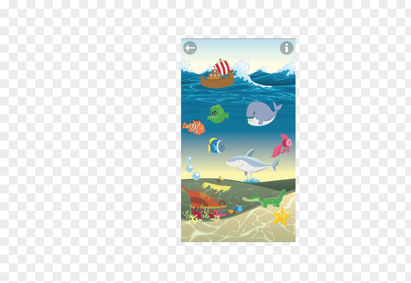 Zoo Playful Water Desktop Wallpaper Computer Sea Cartoon PNG