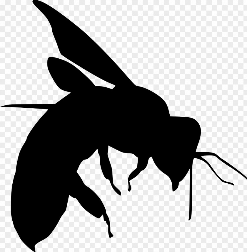 Bee PNG