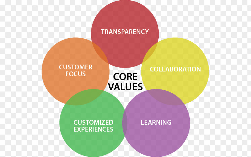 Business Brand Marketing Organization Value PNG
