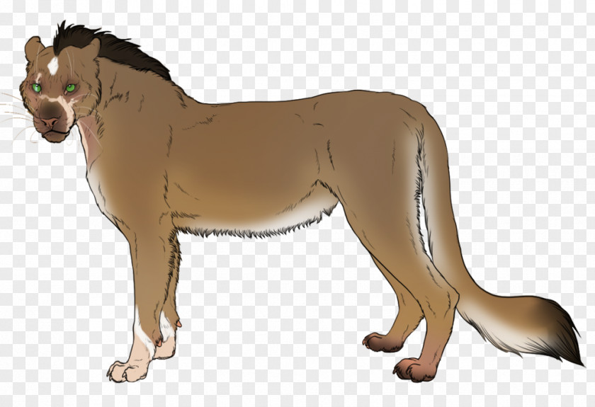 Classical Shading Lykoi Dog Breed Lion PNG