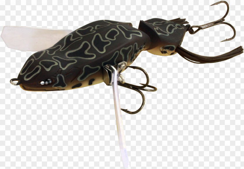 Fishing Baits & Lures Reptile PNG
