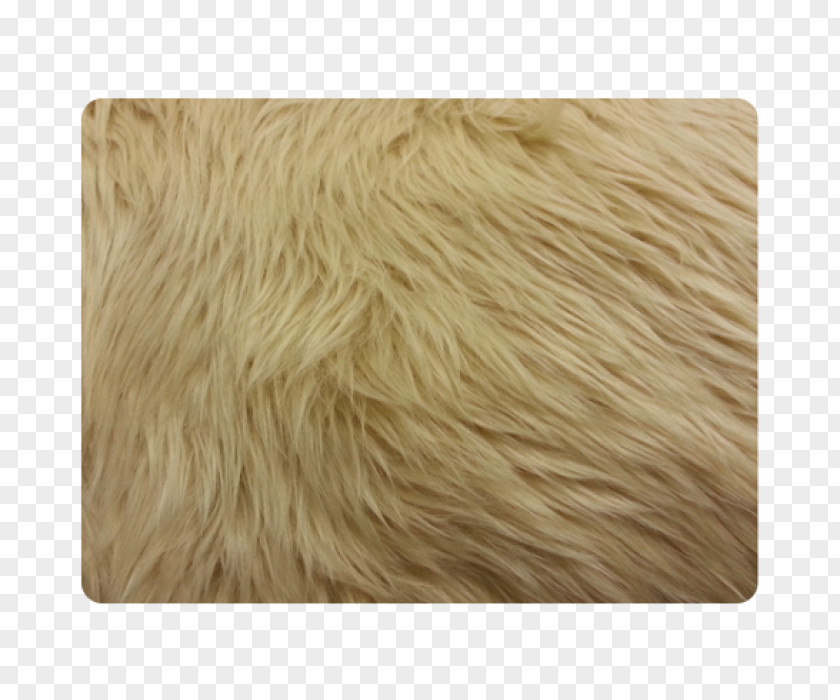 Fur Shorts Snout Brown Wool PNG