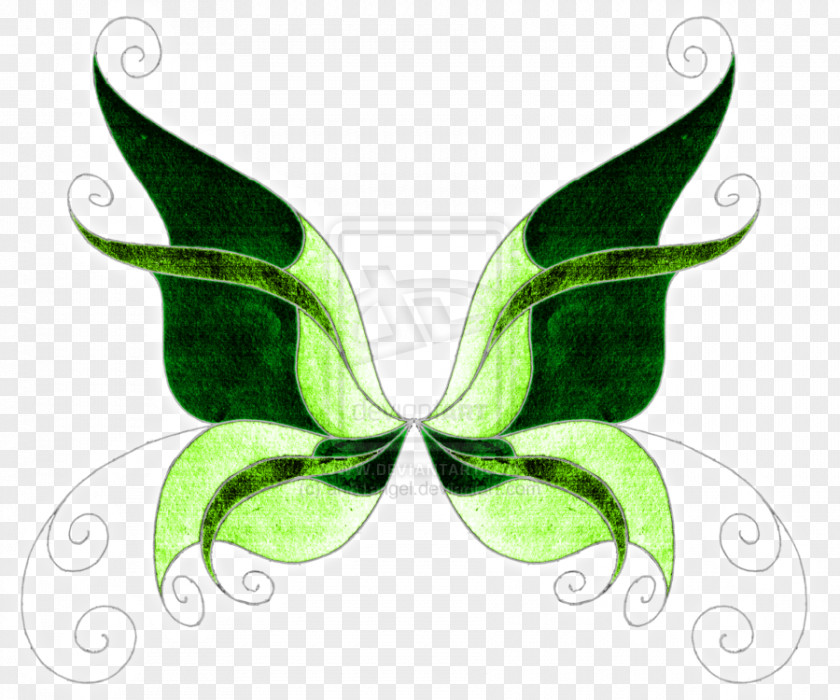 Green Meadow Butterfly Drawing Color Clip Art PNG