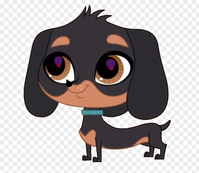 Long-haired Vector Dachshund Puppy Cartoon Clip Art PNG
