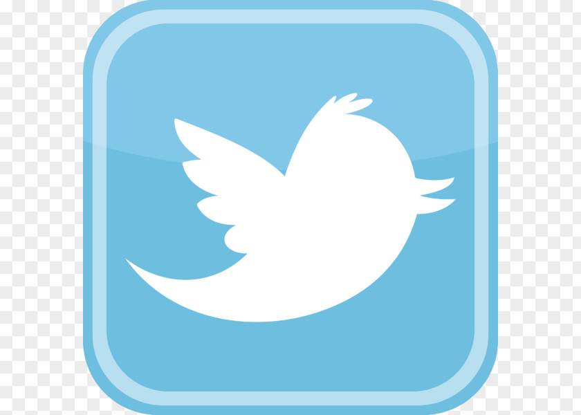 Transparent Logo Twitter PNG