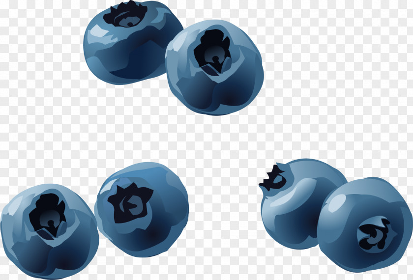 Vector Hand-painted Blueberry Fruit PNG