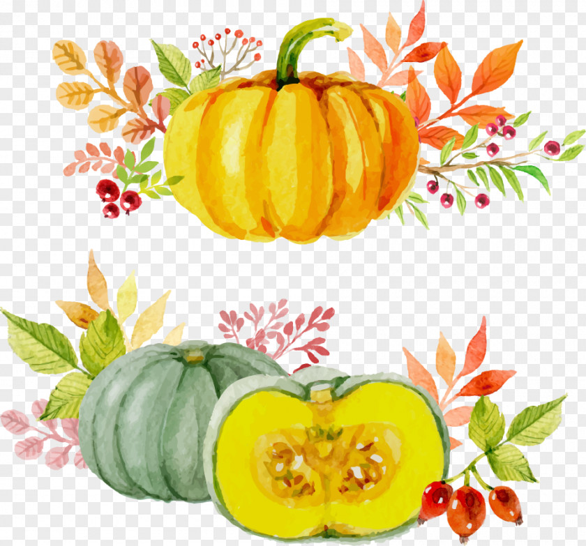 Vector Painted Pumpkin Paper Thanksgiving Watercolor Painting Autumn PNG