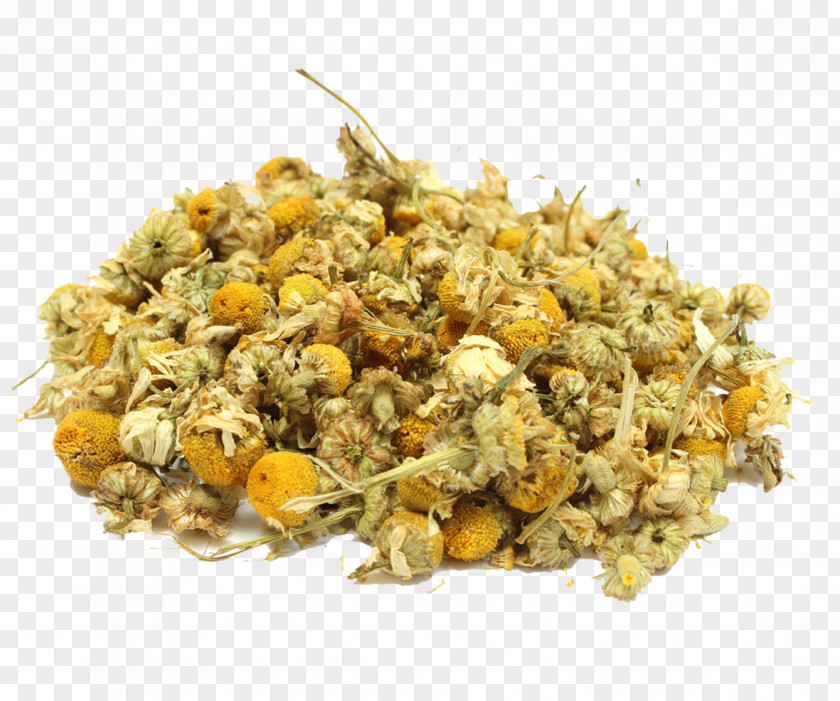 Chamomile German Herb Ingredient Vegetarian Cuisine PNG