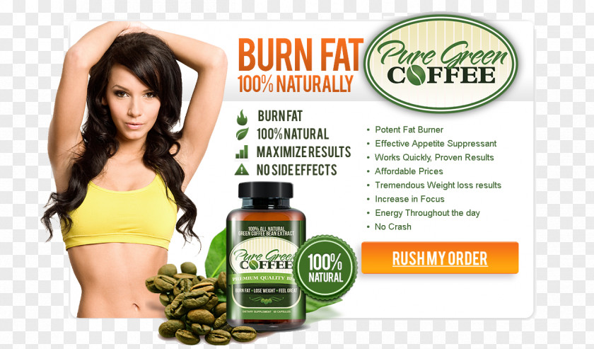 Coffee Green Extract Tea Bean PNG