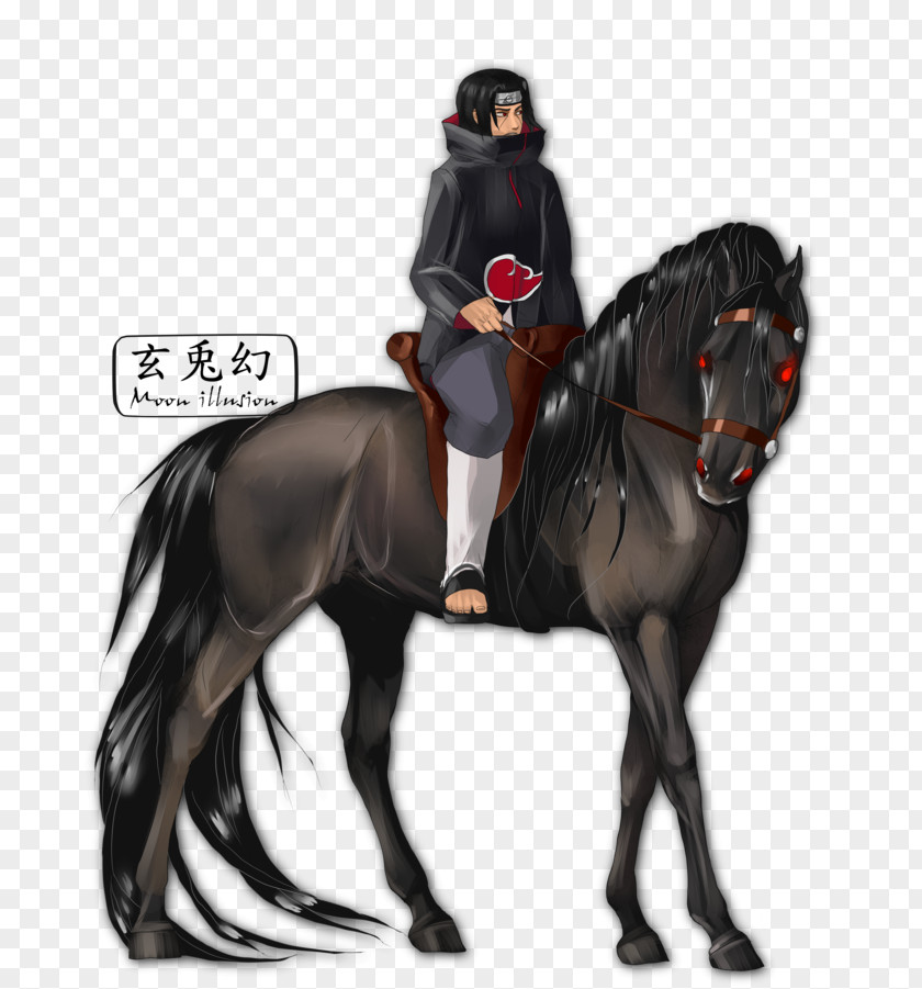 Horse Itachi Uchiha Kisame Hoshigaki Equestrian Stallion PNG