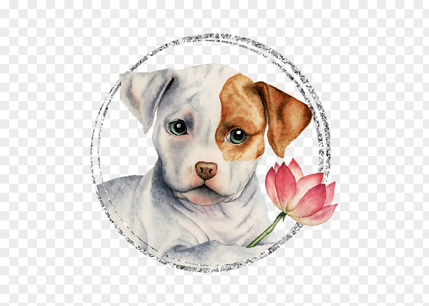 T-shirt Dog Breed American Pit Bull Terrier Staffordshire PNG
