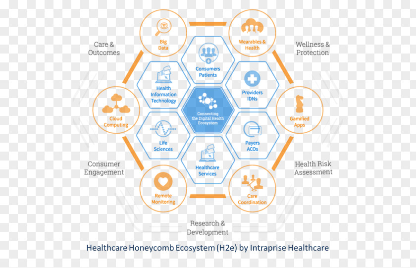Technology Honeycomb Graphic Design Brand Diagram Organization PNG